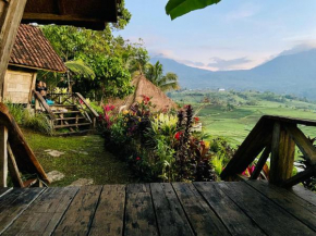 Jatiluwih Glamping